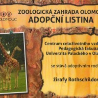 adopce-zoo-2013-ed-res-lar.jpg